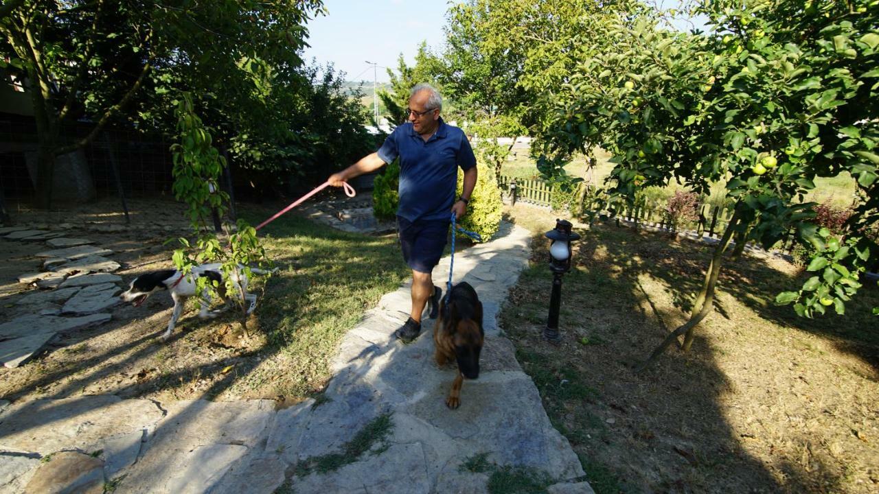 Castle Nolana Hotel Geredeli Buitenkant foto