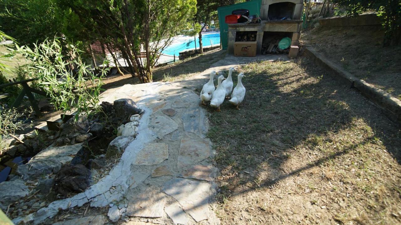 Castle Nolana Hotel Geredeli Buitenkant foto
